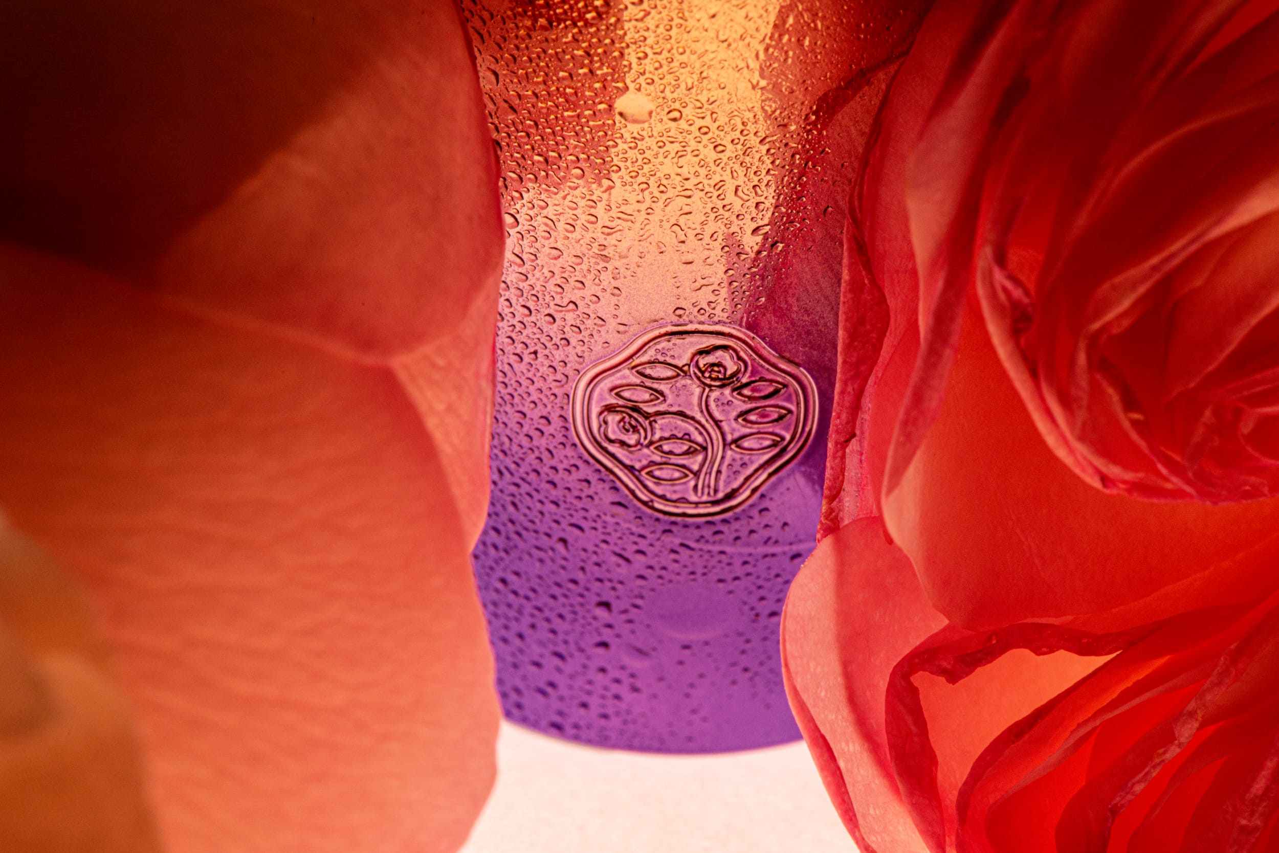 termek_fotozas_reklamfilm